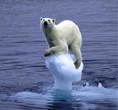 Global Warming.Polar Bear