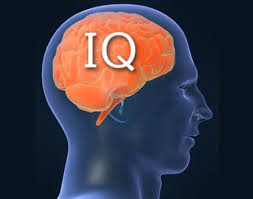 IQ.2
